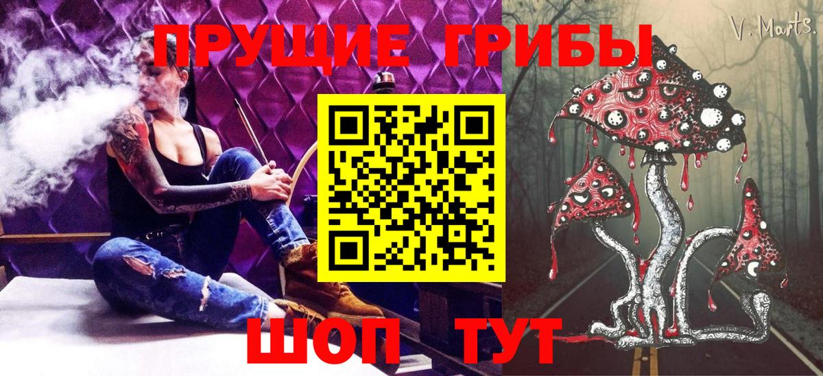 Галлюциногенные грибы Psilocybe Ханты-Мансийск